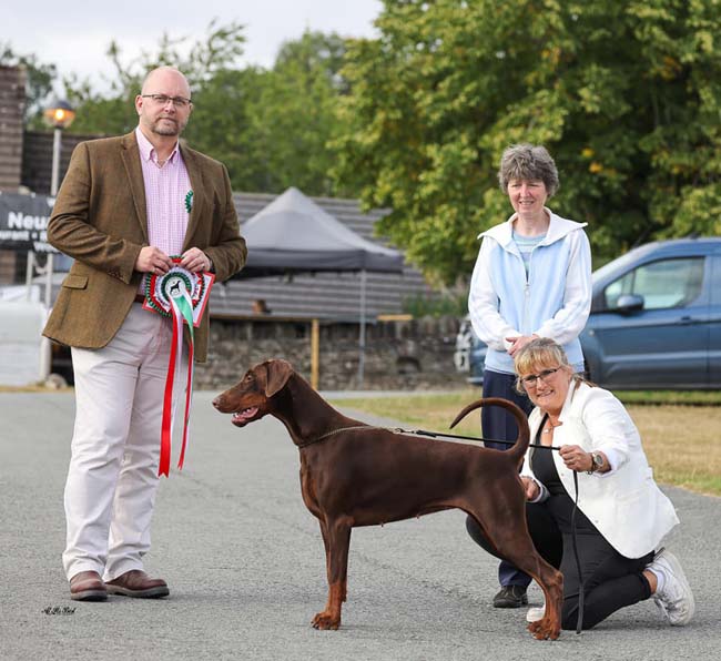 The Welsh Dobermann Club Krieger Highland Fling